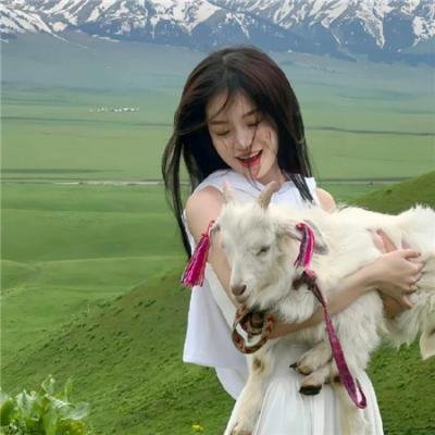 森林：随处可见